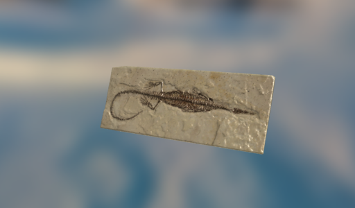 Mesosaurus sp. (파충류)